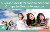 5 Reasons for International Student Groups to Choose Homestay