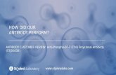 Antibody Customer Review for Anti-Phospho-EF-2 (T56) Polyclonal Antibody (STJ91030)