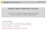 Lec9: Medical Image Segmentation (III) (Fuzzy Connected Image Segmentation)