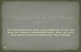 Walsh  Farm Of The  Week 1977 Powerpoint