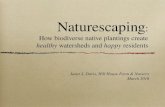 Naturescaping: How biodiverse native plantings create healthy watersheds and happy residents