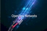 Open Flow Protocol
