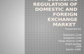 Economics regulation of domestic and foreign exchange market.