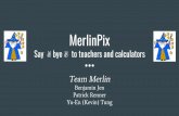 Team Merlin MVP1