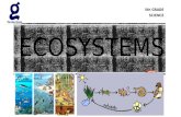 UNIT 5: ECOSYSTEMS