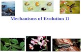 Mechanisms of evolution-II