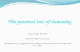 The Paternal Tree of Humanity