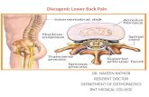 Discogenic lower backache by DR.NAVEEN RATHOR