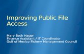 Improving public file access final