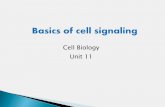 Cell signaling -_introduction[1]