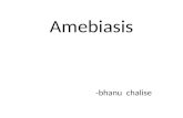 Amoebiasis by bhanu chalise, iom maharajgunj