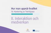 Management Twinspace Interaction and Participation SV