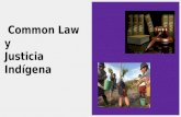 Common law y  justicia indígena