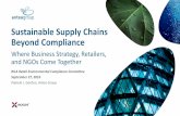 Sustainable Supply Chains Beyond Compliance: Where Business Strategy, Retailers, and NGOs Come Together