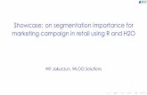 Showcase: on segmentation importance for marketing campaign in retail using R and H2O
