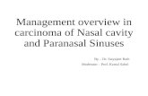 Management Carcinoma Nose & PNS