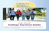 NECO 2016 Fall College Survival Guide