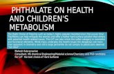The effect of phthalate on health