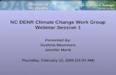 Climate Change Work Group Webinar 1 - February 2009