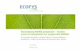Developing NAMA proposals - Ecofys work on templates for supported NAMAs