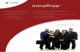 T/DG's IntraPrise - The Resource Management and comprehensive Enterprise solutions