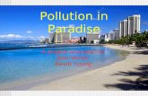 Pollution in Paradise