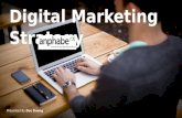 Digital Marketing Strategy Anphabe HR 2016