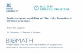 Modelling of filter cake formation in filtration processes