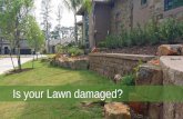 Professional Lawn Care In The Woodlands, TX