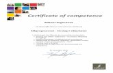 Mercuri International - Certificate.PDF