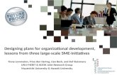 Designing plans for organizational development, lessons from three large-scale SME-initiatives