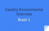 Country environmental overview