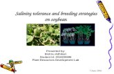 Salinity tolerance and   breeding strategies on soybean