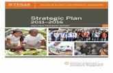 2015.2016 DDCE Strategic Plan Progress Report