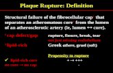 Plaque rupture definition