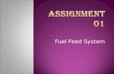 Fuel feed system