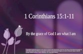 5th Sunday - Second Reading - 1 Corinthians 15:1–11