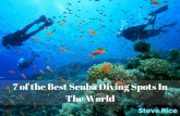 Steve Rice Los Gatos: 7 of the Best Scuba Diving Spots in the World
