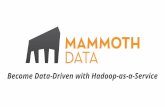 Become Data Driven With Hadoop as-a-Service