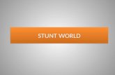 Stunt world