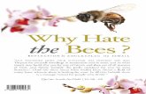 Why hate the_bees