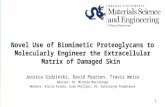 Novel Use of Biomimetic Proteoglycans to Molecularly Engineer the Extracellular Matrix of Damaged Skin