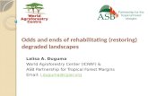 Odds and ends of rehabilitating (restoring) degraded landscapes