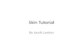 Skin tutorial slide_show