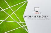 Computer Database recovery