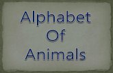 Alphabet of Animals