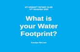 151117 water footprint