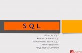 Database Systems - Introduction to SQL (Chapter 3/1)
