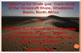 Shale gas exploration
