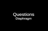 Questions Diaphragm